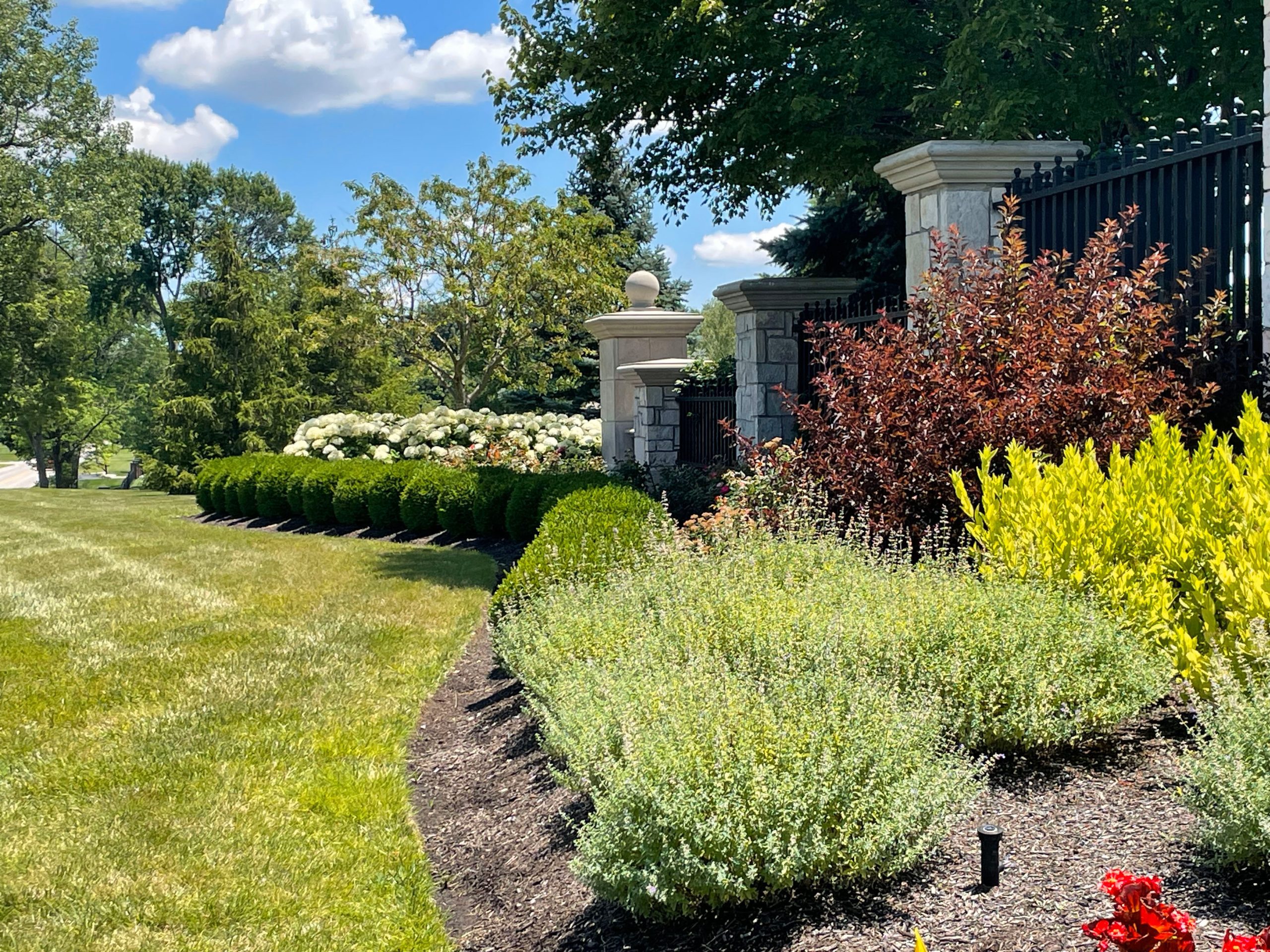 Board Meeting Recap – May 5, 2025