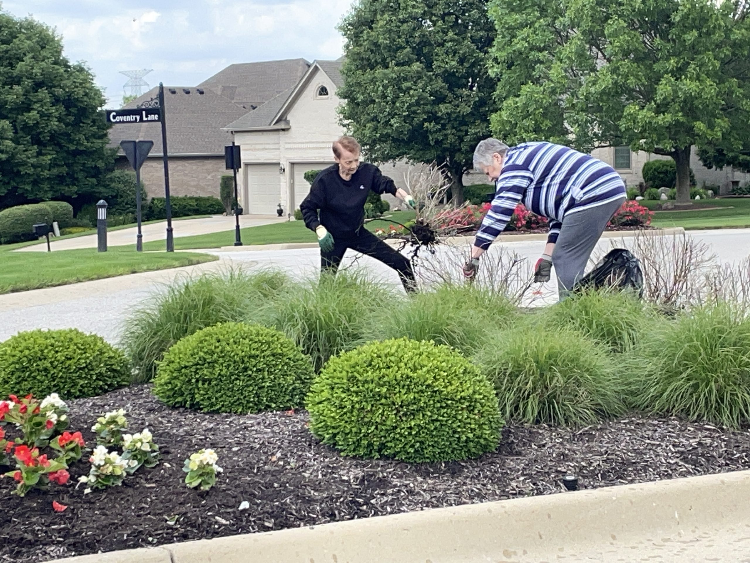 Highlights from the June 2, 2025 Board Meeting